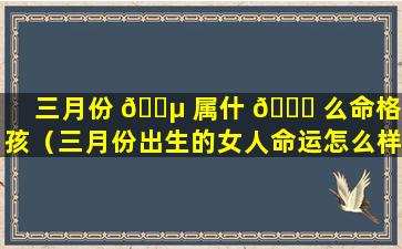 三月份 🐵 属什 🍀 么命格女孩（三月份出生的女人命运怎么样）